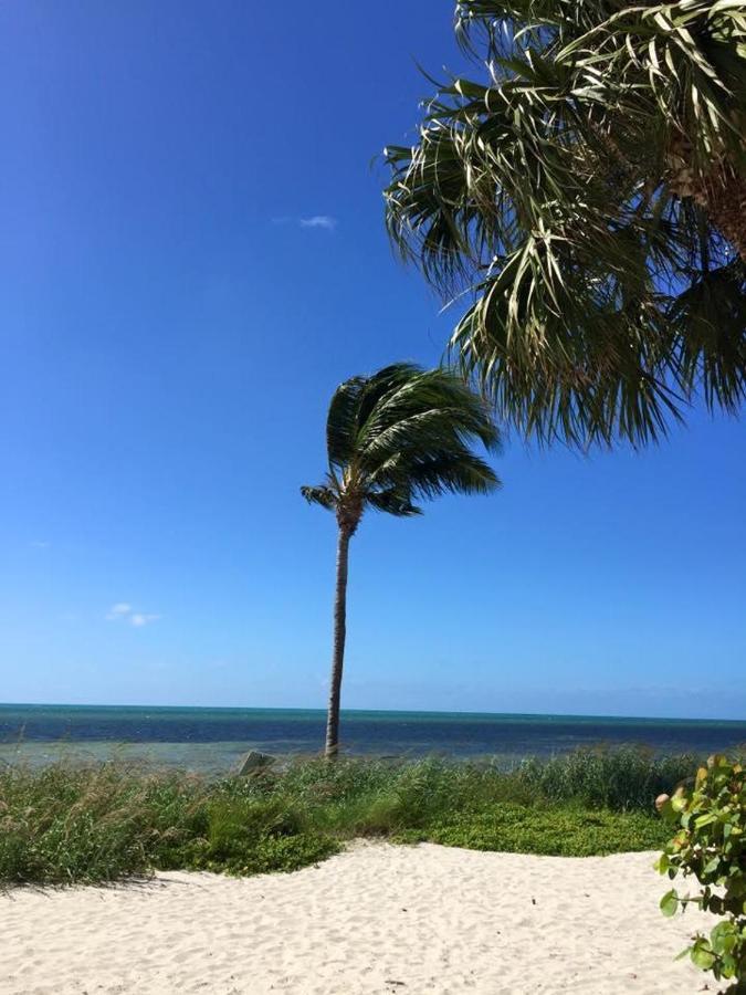 Paradise Found Cayo Hueso Ngoại thất bức ảnh
